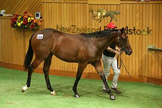Lot 533 Zacinto x Anya fetched today's equal high price of $180,000. Photo: Trish Dunell.